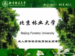 北京林业大学成人高考教育大专本科函授学历报名简章