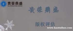 贵州省遵义市无形资产评估版权评估今日更新