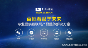 南昌做政府网站设计建设商城小程序APP软件定制开发