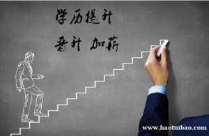 沈阳药科大学成人高考函授中药学专业本科学历招生简章