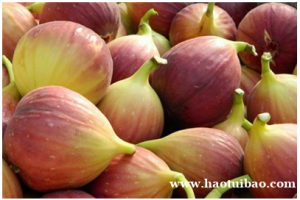 刺果果怎么样 加盟进货有优惠吗