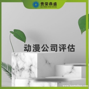 上海市无形资产评估动漫公司评估今日推荐