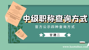 湖北中级工程师职称查询方式有哪些？
