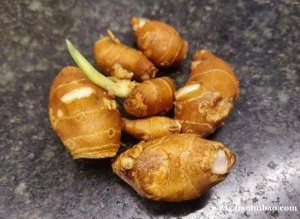 缅1甸沙姜进口天津清关报关注意事项你一定要知道快来看