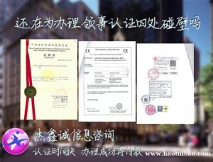 代理协议埃及销售协议领事馆加签