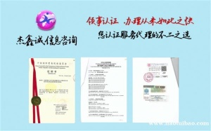 销售协议巴西分销声明使馆认证