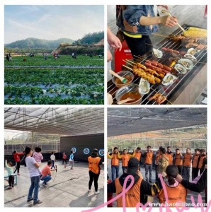 深圳公司团建农家乐休闲游户外野炊烧烤一日游