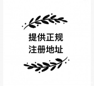 两江新区个体注册+核定，注册注销服务