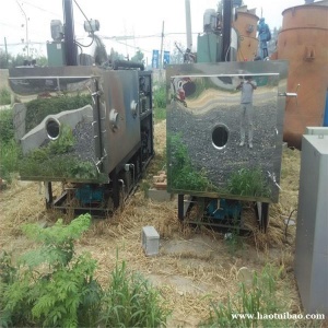 工业冻干机 不锈钢冻干机 小型冻干机 长期供应