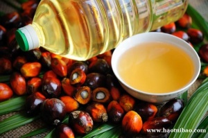 马来西亚棕榈油进口天津清关报关流程步骤分享出来了