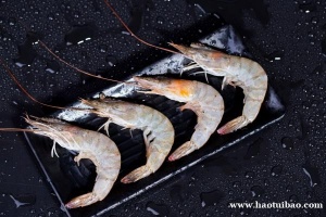 厄瓜多尔白虾进口天津清关报关需要准备资料大全分享看看