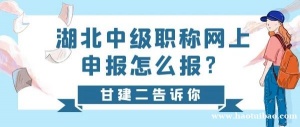 2023年湖北中级工程师职称如何申报？申报形式有哪些呢？甘建二告诉你