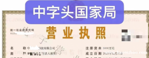 实力转让国家局中字头的科技公司中国开头公司