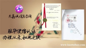 塞尔维亚公司损益表使馆签章