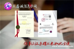 公司损益表厄瓜多尔领事馆盖章