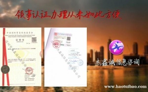 黎巴嫩无犯罪记录公证使馆认证合法化