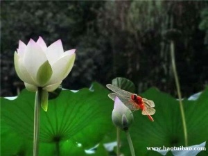 深度腾龙龙虎视讯网站多少 TL201911.COM