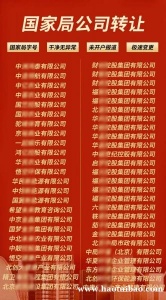 转让国家局的控股集团公司无任何经营集团