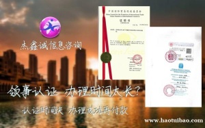 多米尼加公司损益表使馆盖章