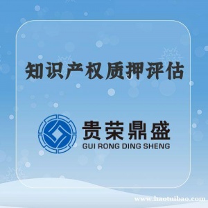 湖北省宜昌市知识产权质押融资评估资产评估今日新讯