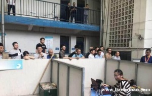 重庆安监局现应急管理局操作证？