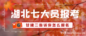 2023年湖北七大员报名条件和报名形式怎么样的？七大员是哪些员？
