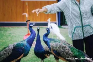 苏州三六六青少年研学旅行采菱亲子户外探索活动体验课报名中