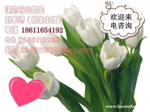 固原施工升降机 起重信号工 塔吊考完是当时查成绩吗