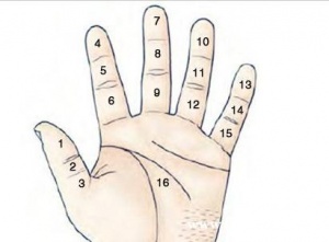 教你如何看手相 男人哪种手相最好