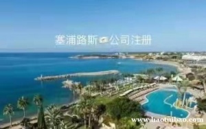 塞浦路斯VAT 税号申报时间有什么要求吗？