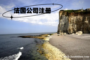 SARL有限责任公司和SAS简易股份有限公司，两者的区别在呢？