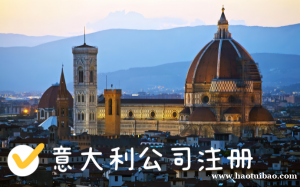 注册意大利公司的条件具体有哪些？