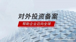 申请境外投资备案ODI对企业的要求