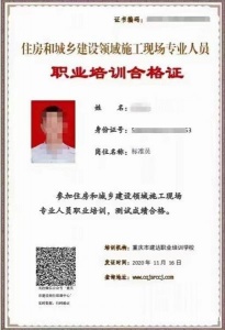 重庆建委十一大员年审报名在报