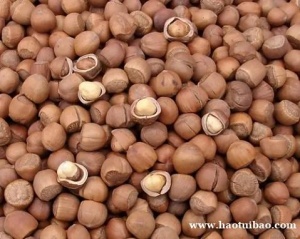 干果坚果进口口报关清关