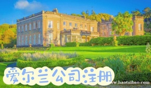 在爱尔兰当地注册一家公司有什么优势？