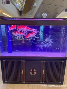 石家庄鱼缸清洗