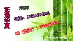 油漆工瓦工模板工电工考试查询 报名焊工木工地址六安