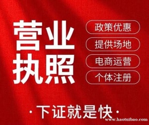 南岸区弹子石个体/公司执照代办，免费注册执照送公章