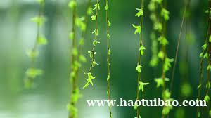 在家如何有效辟邪 家里最好的辟邪办法 在家如何有效辟邪 家里最好的辟邪办法