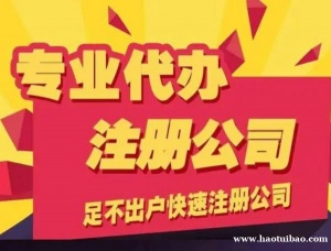 南岸茶园，代办一般纳税人注册，会计上门咨询