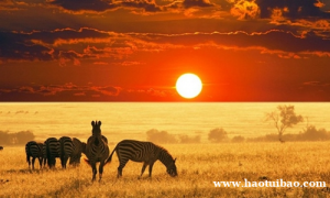 肯尼亚公司注册其他要求