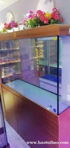 石家庄桥西区鱼缸清洗