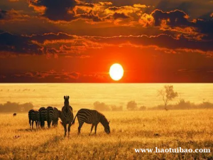 南非当地的投资吸引力怎么样?