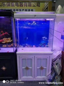 沧州沧县鱼缸清洗