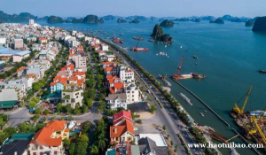 越南当地的投资吸引力体现在？