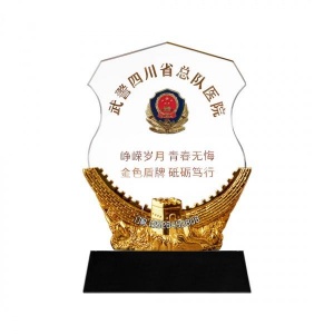 送战友纪念品 退伍军人纪念品从警纪念牌退休感谢牌老兵聚会礼品