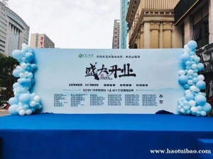 西安丰金锐活动执行公司 开业庆典 舞台搭建 舞龙舞狮 舞蹈 小提琴十二乐坊迎宾