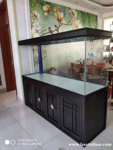 石家庄裕华区鱼缸清洗