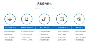 萍乡网站建设定制app开发